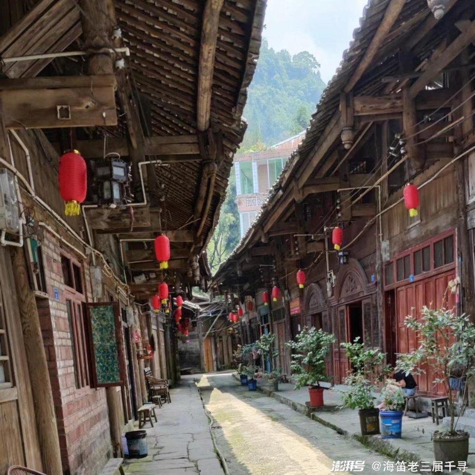 杨子录视频澄清谣言:与商家并肩而立,喊话招商公司侵权必究